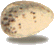 egg4.gif